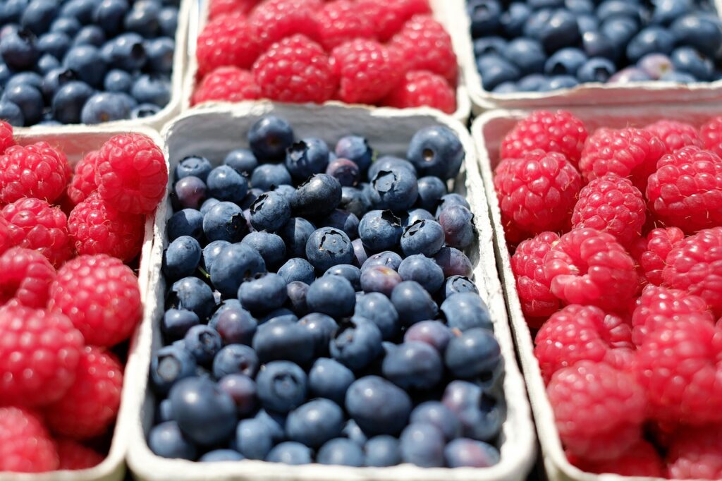 berries, blueberries, raspberries-1493905.jpg