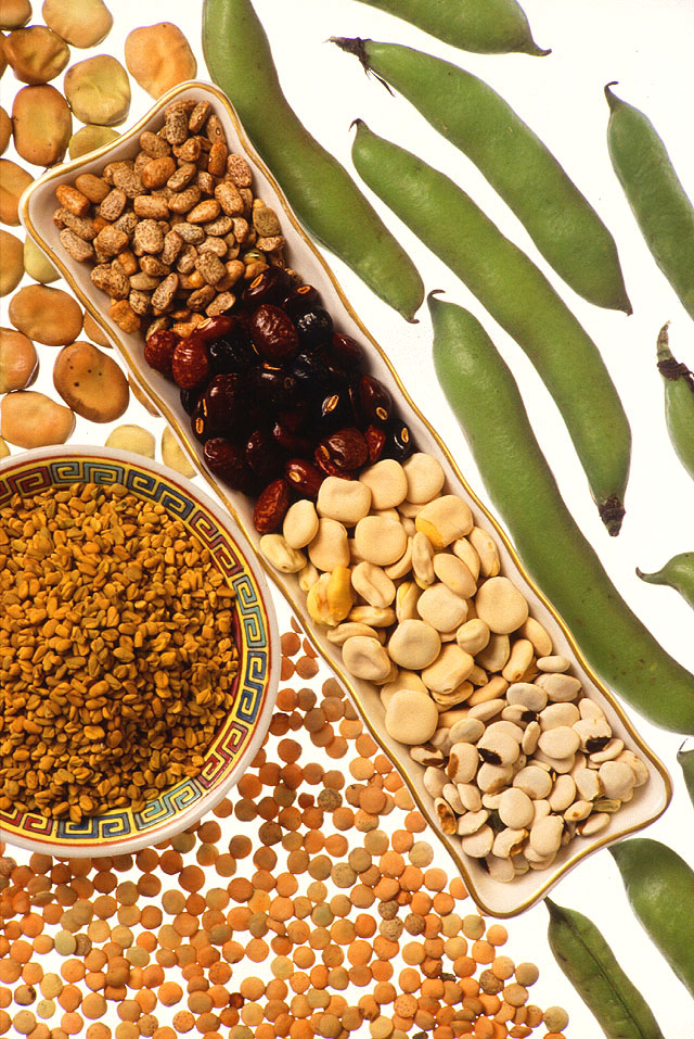 A selection of dried beans and lentils arranged in bowls